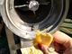 Pemrosesan Pure Mangga Otomatis Bahan SUS304 Kapasitas 3 - 2T / H
