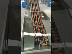 mesin pemecah telur tipe vertikal