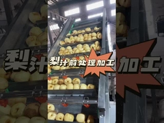 Cara melakukan pra-pengolahan jus pir