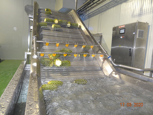 Performance Tinggi Lengkap Pineapple Processing Line Disesuaikan Mesin Pabrik Produksi Nanas Dengan PLC Untuk Industri Buah