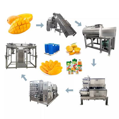 Set lengkap pabrik pengolahan jus mangga lini produksi buah kecil