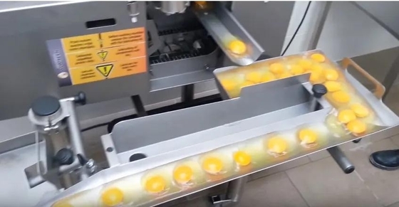 Mesin pemisah telur SUS304 yang paling laris Mesin pemecah telur Mesin pengolahan telur cair