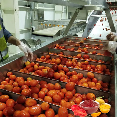 Jual Hot Complete Customized Tomato Production Plant Mesin Pengolahan Omate/Jus Tomat/Sauce/Pulp Baru Dengan PLC SUS304/316