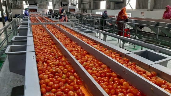 Jual Hot Complete Customized Tomato Production Plant Mesin Pengolahan Omate/Jus Tomat/Sauce/Pulp Baru Dengan PLC SUS304/316