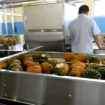 SUS 304/316 Jalur Pengolahan Nanas Lengkap Peralatan Pabrik Produksi Nanas yang Disesuaikan untuk Industri Buah