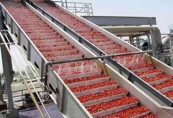 Rantai Pengolahan Strawberry yang Disesuaikan Pabrik Produksi Blueberry/Strawberry/Raspberry Strawberry Juice/Pulp/Jam Machine Sus304/316