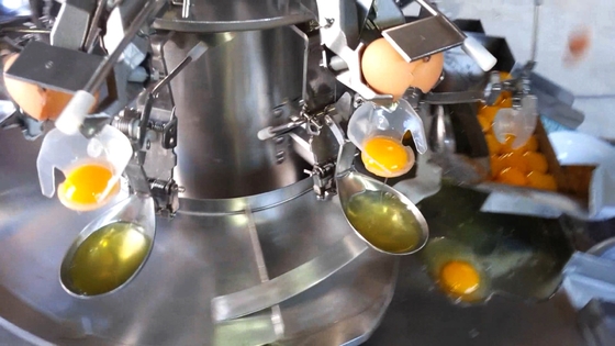 Pabrik Otomatis Cuci Telur Patah Telur Cairan Pasteurisasi Mesin Membuat