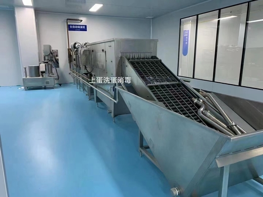 500-30000L/H Customized Egg Processing Line Complete Egg Production Plant Mesin Cairan Telur Dengan PLC
