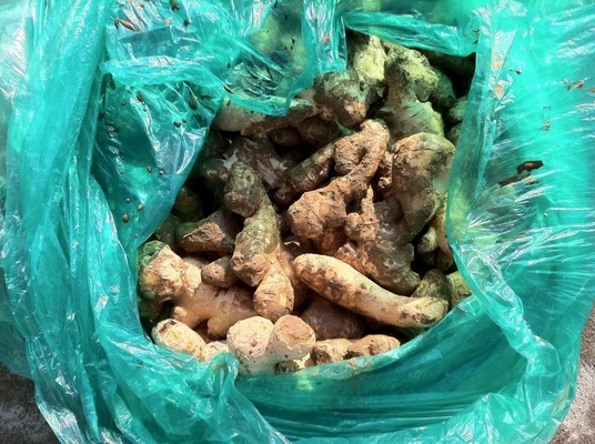 Ekstraktor jus jahe industri dengan menghancurkan dan jus dengan kepala penegakan tekanan yang dapat diatur